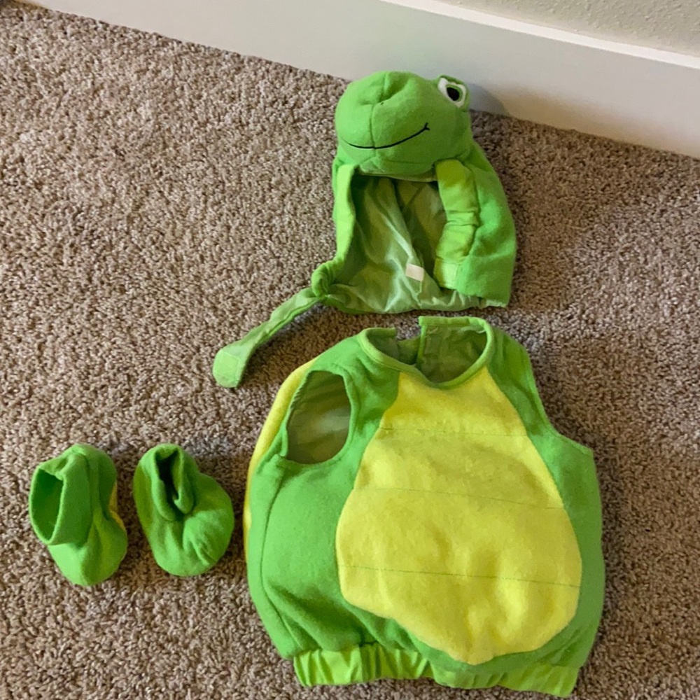 Turtle costume
